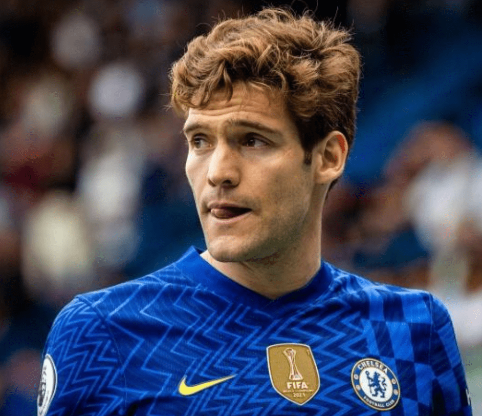 包含离谱！孟菲斯灰熊主帅复盘备战荷甲风云突变华盛顿奇才今晚伤情更新，法兰克福围绕欧联官宣签约的词条星空体育官网