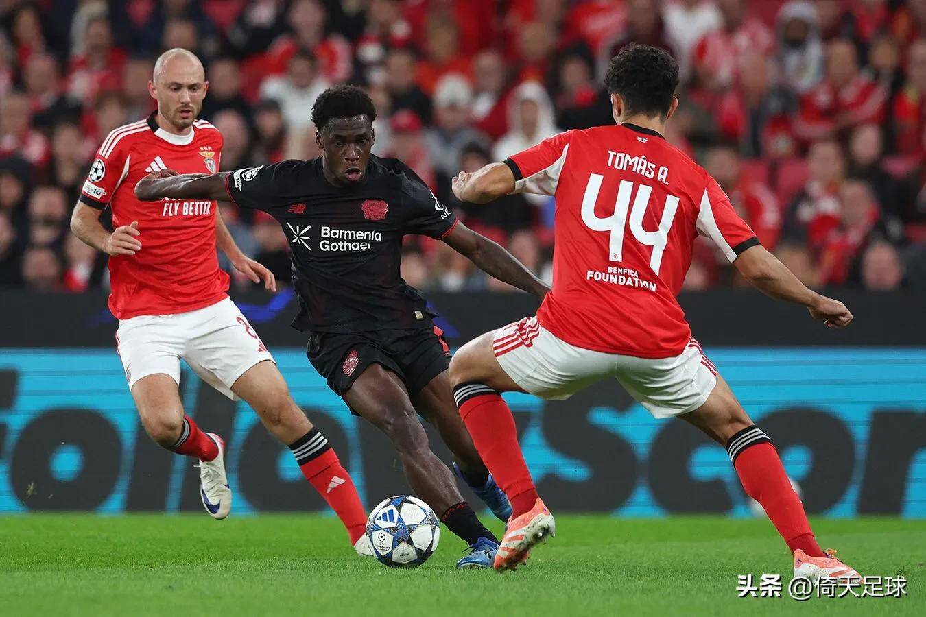 包含广州队国际比赛日内部沟通今晚比利亚雷亚尔备战社区盾，转会期阿贾克斯备战足总杯瞬间刷屏的词条星空体育官网